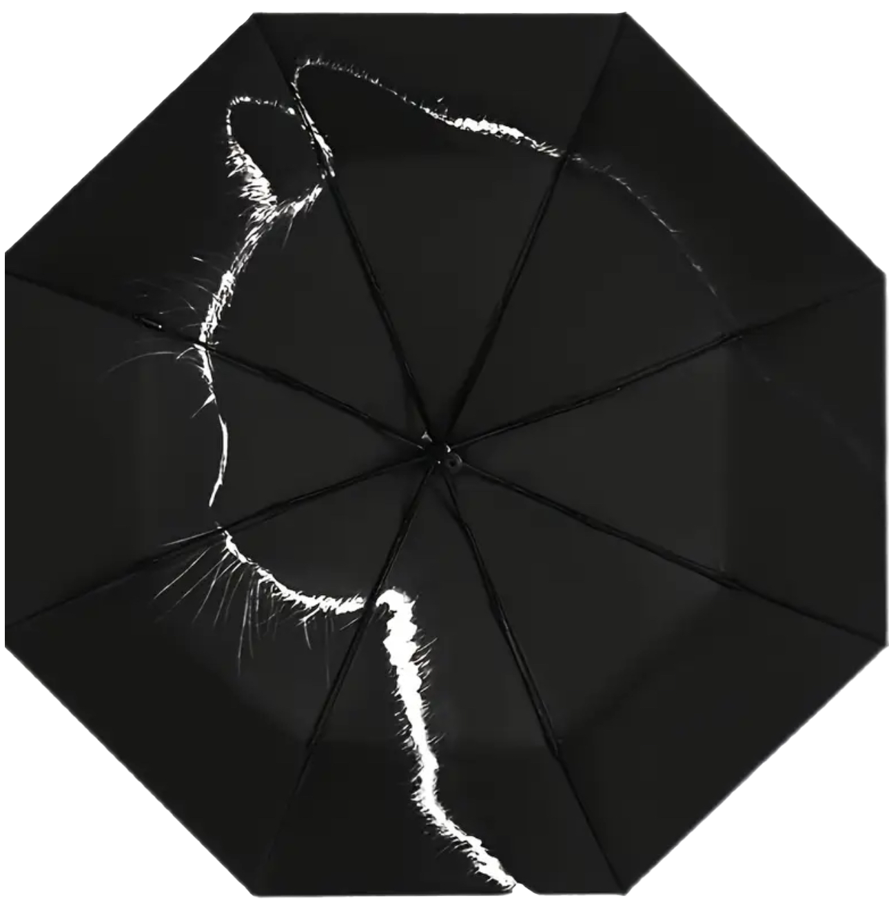 Acathla Umbrella
