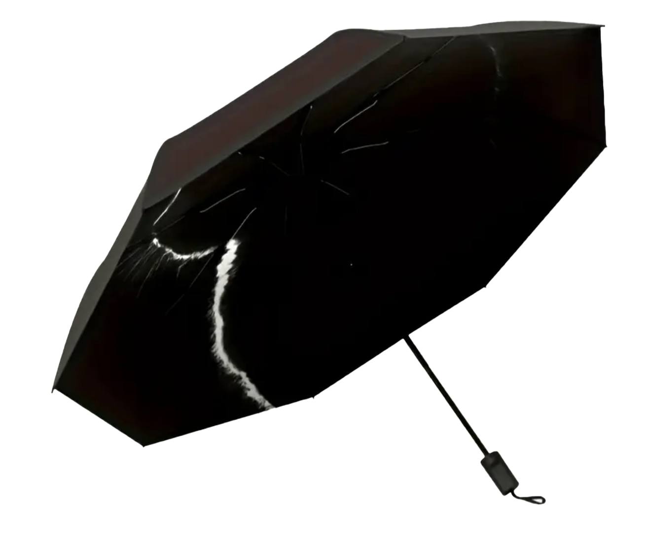 Acathla Umbrella