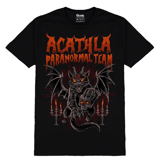 Paranormal Team